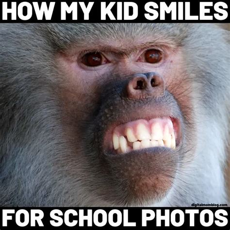 monkey meme|funny meme monkey.